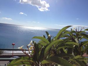 Attico delle Pomelie