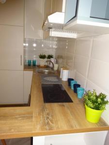 Apartament Nikola