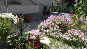 Akti Zaga Apartments Messinia Greece