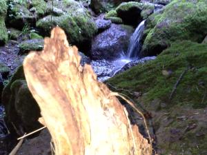 Agriturismo Pentuma img58