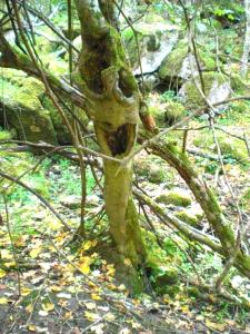 Agriturismo Pentuma img57