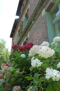 Le Manoir du Menillet photo 15
