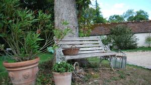 Le Manoir du Menillet photo 12