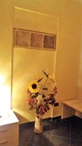 Affittacamere arabafenice