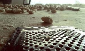 Agriturismo Lu Nodu img30