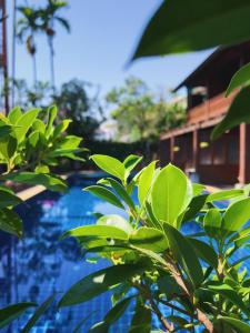 Baan U Sabai Boutique House-SHA Plus