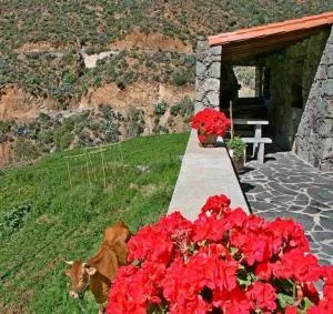 Casa rural El Coronel - El Juncal