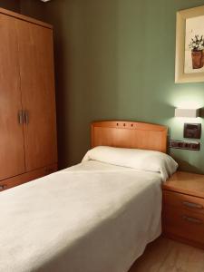 Single Room room in Hostal Meseguer