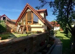 Apartmán vinaře / At Winemaker's - 霍多宁