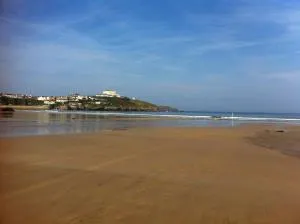 Alishan Cornwall Holidays - 纽基