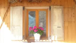 Le Perce Neige - 沃雅尼