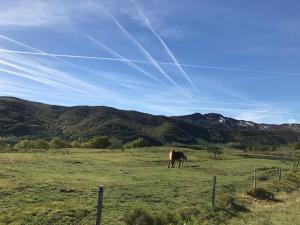 Maisons de vacances Farmhouse with mountain view : photos des chambres