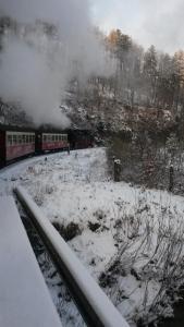 Hexenhaus am Waldesrand Wernigerode