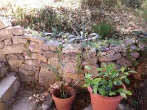 Appartements haut var Figanieres : photos des chambres