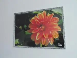 Dalija apartman - Ježdovec