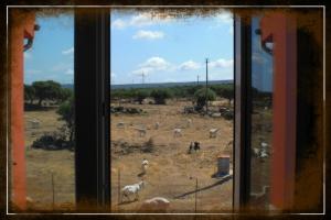 Agriturismo Pentuma img32