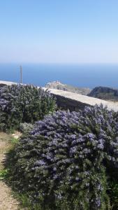 Bioclimatic stone built villa