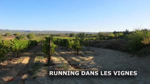 Maisons de vacances CHENE-VERT : photos des chambres