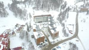 Dima Orbi apart. Bakuriani