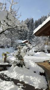 Ferienwohnung Beate Hassler