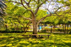 Estelar Playa Manzanillo -inclusive