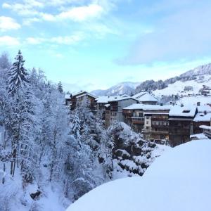 Appartements Les portes du Mont Blanc : photos des chambres