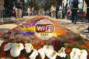 Central Suite in Funchal 2N - Funchal