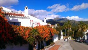 1 Bed Traditional Holiday Rental Cottage Oasis Capistrano Nerja Spain