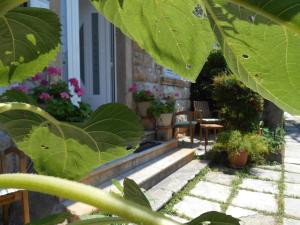 Guest House Cinema close to port