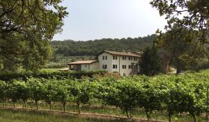 Agriturismo Ca' Castellani