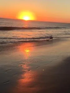 Entre o Mar e Lisboa - Oeiras