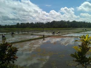 Ibu Ana Homestay