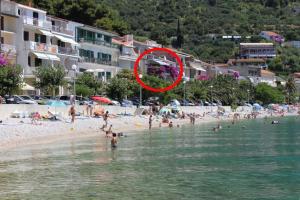 Apartments by the sea Podgora, Makarska - 6801