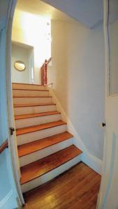 Beside The Tulip Tree