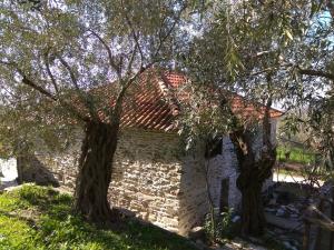 Pelion Zervochia Pelion Greece