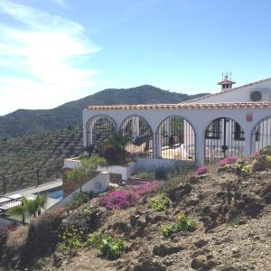 Accommodation in Arenas