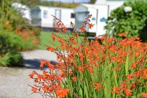 Roselands Caravan Park - St Just