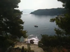 Apartment Iva&Andro - 科洛塞普