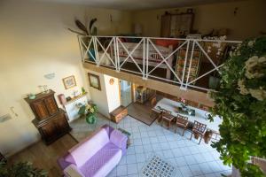 Suite Orchidea by Dimorra