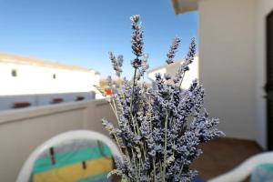 Apartmani Mila