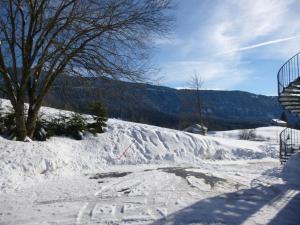 Appartements Les Chamois : photos des chambres