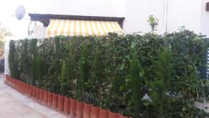naturist apartament