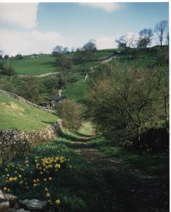 Graces Cottage