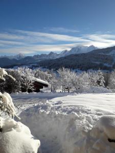 B&B / Chambres d'hotes Chambres d'Hotes Eternel Mont-Blanc : photos des chambres