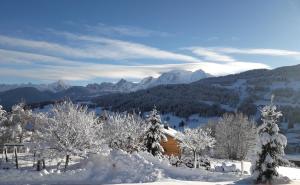 B&B / Chambres d'hotes Chambres d'Hotes Eternel Mont-Blanc : photos des chambres