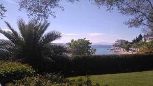 Apartment Lemon & Soul