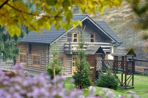 3 star pension Cabana Daria Arieşeni Roumanie