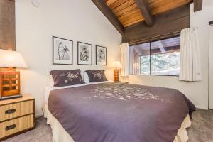 Mammoth Ski and Racquet 132