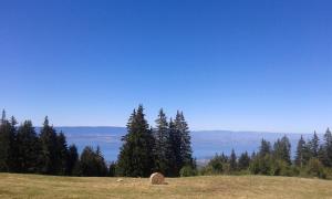 Appartement Zian Justine