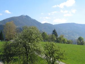 Ferienhof Karin und Florian Gressenbauer